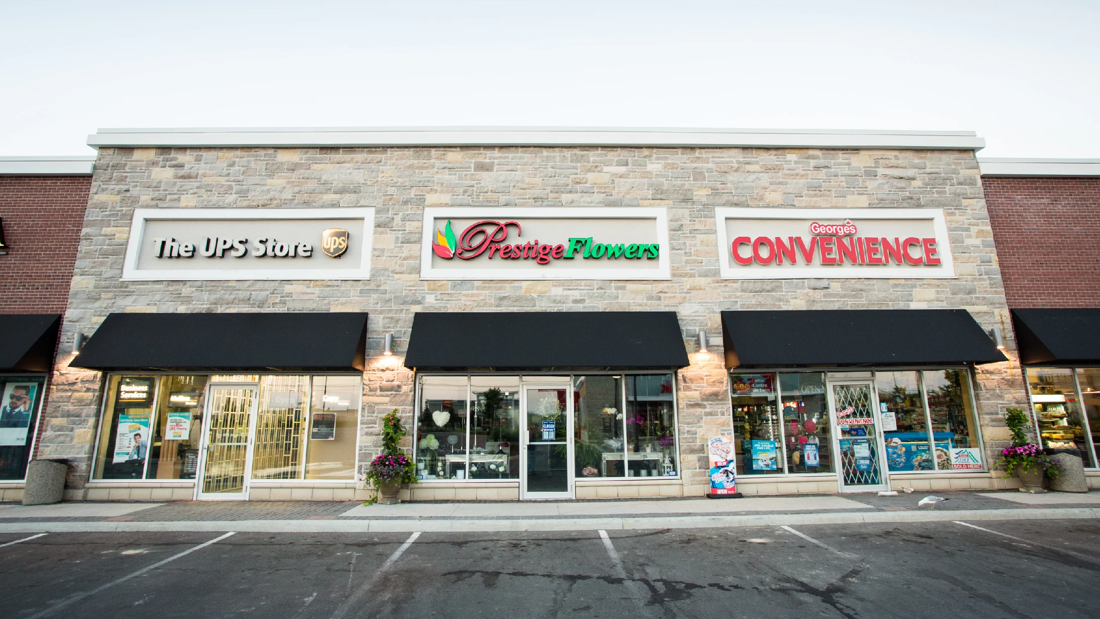 Vellore Village - Phase II, Vaughan – retail row with The UPS Store, Prestige Flowers and convenience store